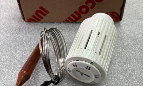 R462LX001 Giacomini Thermostatic Head with Lead